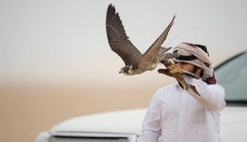 الإفراج عن الصيادين القطريين في العراق