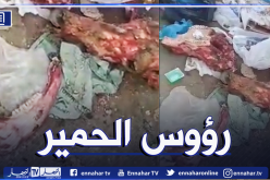 بالفيديو.. العثور على رؤوس وعظام الحمير بمفرغة في بومرداس