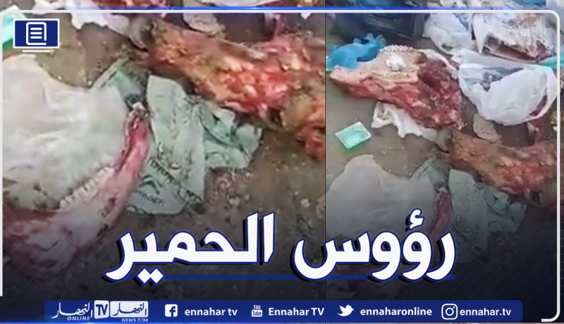 بالفيديو.. العثور على رؤوس وعظام الحمير بمفرغة في بومرداس