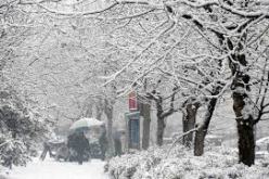 تساقط الثلوج على المناطق الداخلية ابتداءا من يوم الاربعاء