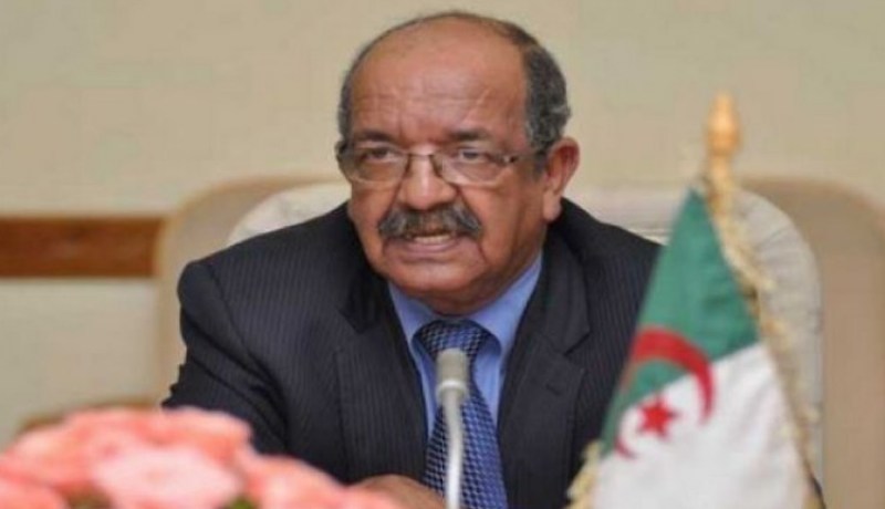 مساهل ليس في حاجة لسائق خاص