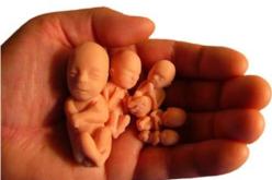 ملف الإجهاض يتسبب في فتنة داخل المعارضة والأغلبية في المغرب