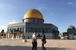 غزال يُزور القدس !!