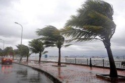 رياح بقوة 80 كلم تقتل شرطيا وتقطع طرقات