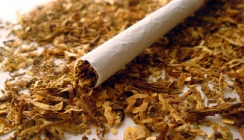 منظمة الصحة العالمية تدعو إلى وقف الإتجار غير المشروع بمنتجات التبغ