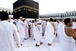 محمد عيسى يصف المرحلة الاولى من موسم الحج بالناجحة