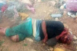 بالصور.. إعتداء وحشي على مشرد طاعن في السن بوهران