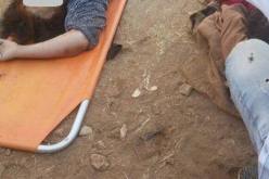 الفقر يقتل 15 إمرأة بالمغرب