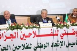 عليوي يدعو إلى إنشاء المجلس الأعلى للتنمية من أجل تطوير الإنتاج الفلاحي