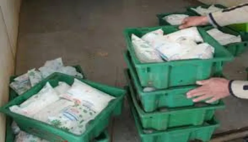 اللجنة الوطنية لمهنيي الحليب تقترح استراتيجية لرفع انتاج الحليب
