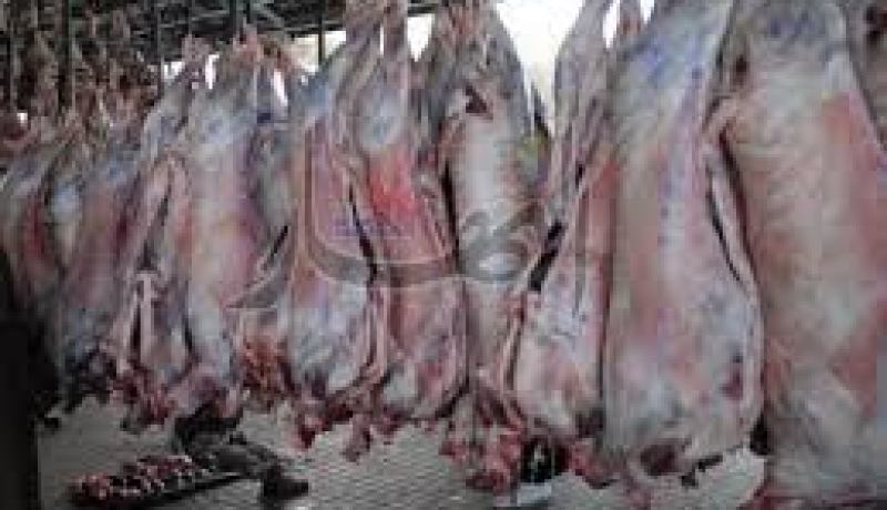 وزير الشؤون الدينية يعلن عن تعديل المرسوم الرائسي المتعلق بصرع الحيوان