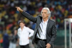 حاليلوزيتش: شكرا للاعبين وأتمنى أن يعيد الحكم مشاهدة المباراة