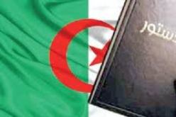 مشاورات واسعة خلال سنة 2014 للتوصل إلى تعديل توافقي للدستور