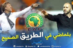 الجزائر تتساوى مع المغرب وأفضل من غانا وساحل العاج !!