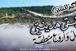 لهذا السبب.. تبقى مدينتي أجمل وأروع منطقة