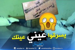 بالفيديو .. هكذا تسرق ملبنات بودرة الحليب المدعم لإنتاج الياوورت