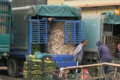 تجار الجملة يتبرؤون من الدعوة لإضراب وطني