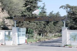 حتى المهابل «ماسلكوش»!