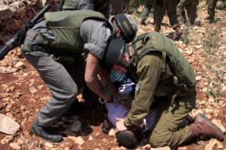 قوات الإحتلال تعتقل 24 فلسطينيا في أنحاء متفرقة من الأراضي المحتلة