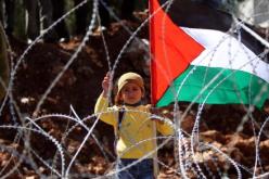 الأردن ينفي توجها لسحب جنسيات فلسطينيين