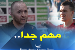 بلماضي يسترجع خدمات نجمه الصاعد والخضر أكبر مُستفيد