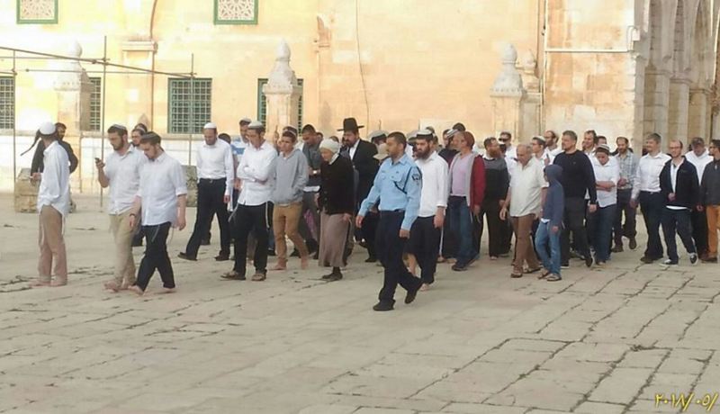 أكثر من ألف مستوطن صهيوني يقتحمون الأقصى
