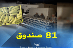 حجز قرابة 1300 كلغ من الموز في تبسة