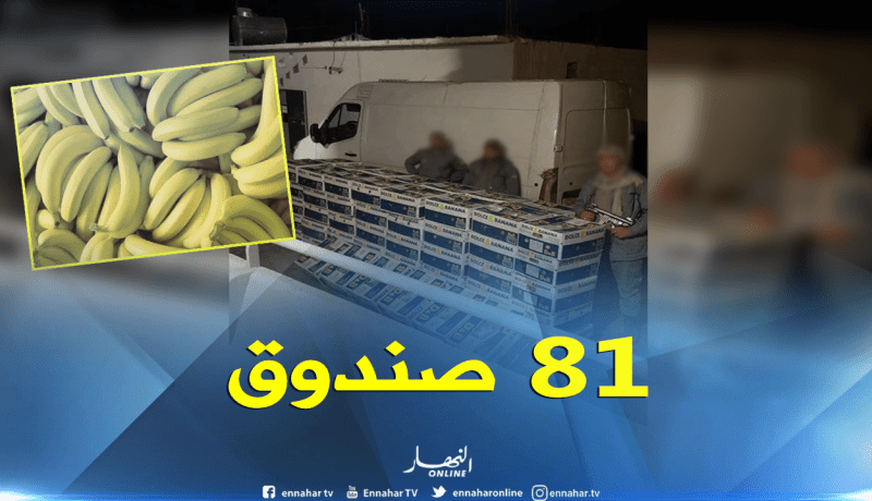 حجز قرابة 1300 كلغ من الموز في تبسة