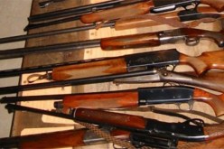 حجز 43 سلاح ناري بدون رخصة في الجلفة