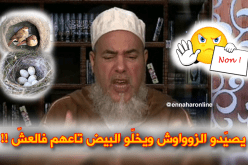 إنصحوني: يصيّدو الزوواوش ويعاودولهم البيع ..والبيض تاعهم  فالعشّ..حرام !!