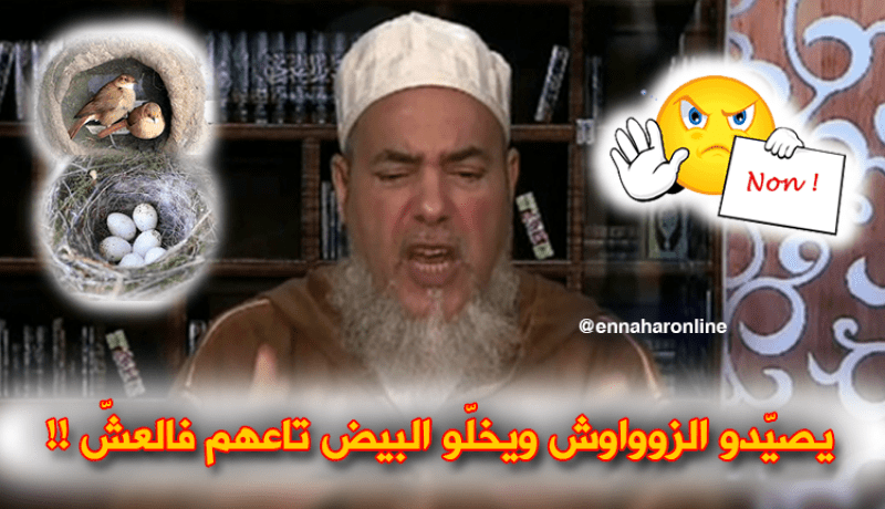 إنصحوني: يصيّدو الزوواوش ويعاودولهم البيع ..والبيض تاعهم  فالعشّ..حرام !!