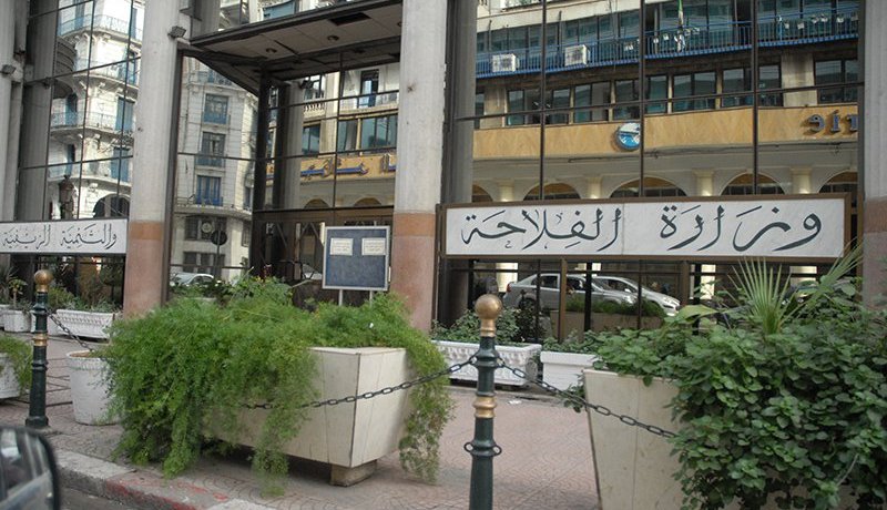 وزارة الفلاحة تقرّ إجراءات استعجالية لمتضرري الحرائق