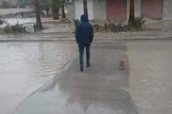 صورة.. من فوائد “الدودانة”