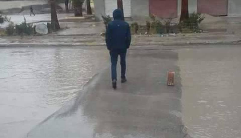 صورة.. من فوائد “الدودانة”