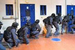 أسيرة فلسطينية تُهاجم سجّانات الاحتلال الصهيوني