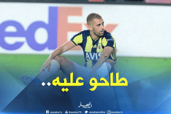 “الأتراك” يُواصلون حملتهم ضد “سليماني”