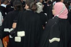 منظمة المحامين للجزائر تنتخب مجلس نقابة جديد