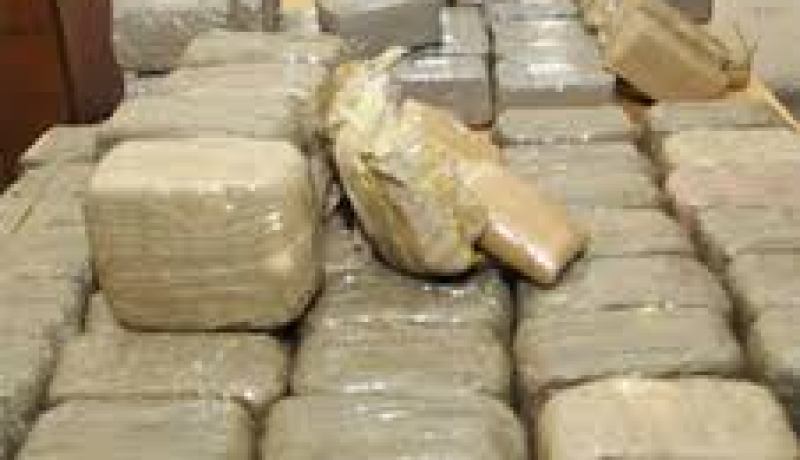 حجز أزيد من 20 قنطارا من الكيف قادمة من المغرب في تلمسان