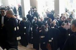 قرابة خمسة آلاف محامي لمنظمة الجزائر ينتخبون السبت المقبل  31 عضوا جديدا مكونين لمجلس النقابة