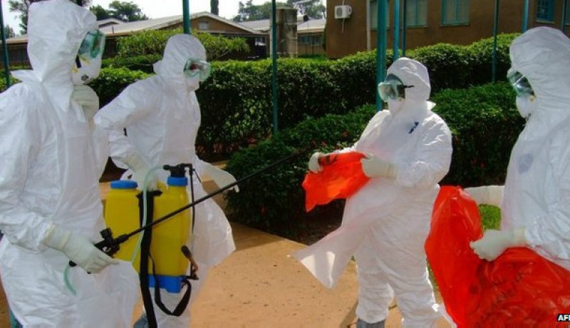 عمادة الأطباء: فيروس إيبولا لا يمكنه الانتشار في الجزائر