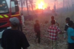 حريق يلتهم مزرعة نخيل في ورڤلة