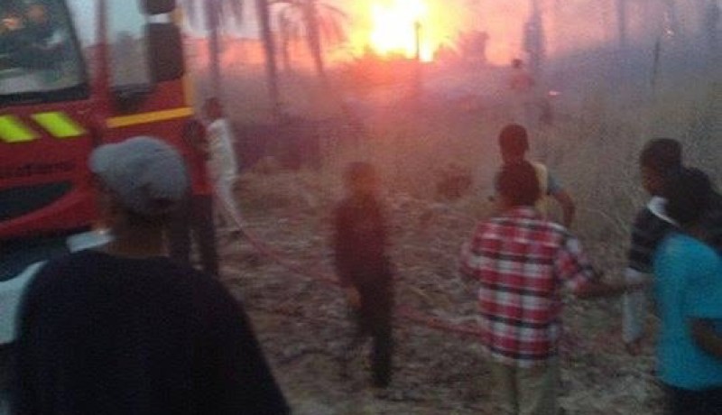 حريق يلتهم مزرعة نخيل في ورڤلة