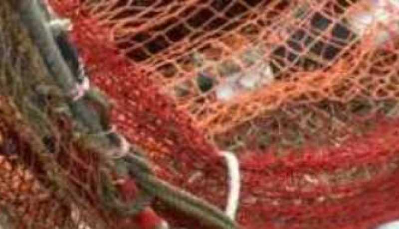 شباك صيد تسحب جثة تلميذ غرق قبل 5 أيام بميناء كاب جنات في بومرداس