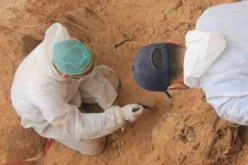 اكتشاف مقبرة جماعية في مڤرة بالمسيلة