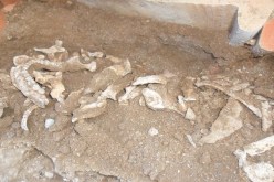 أطفال يعثرون على قبر من العهد الاستعماري بسيدي غيلاس في تيبازة