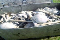 العثور على أزيد من 18 جمجمة وهياكل عظمية داخل ورشة بناء في البويرة