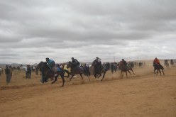 فرسان تلمسان يحيون أمجاد سباق الخيـل عمره 40 سنة بماقورة