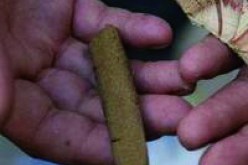 إصابة شرطيين بعد مواجهات مع عصابة لترويج لمخدرات في تيبازة