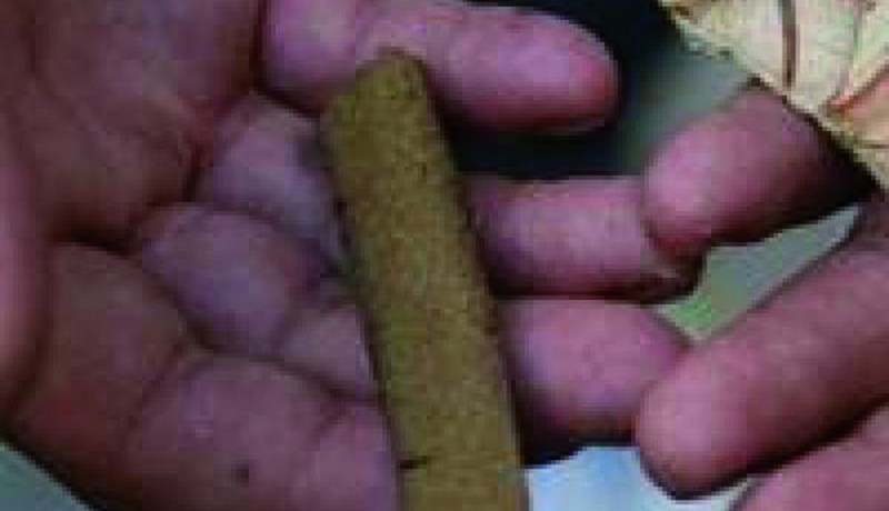 إصابة شرطيين بعد مواجهات مع عصابة لترويج لمخدرات في تيبازة