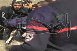 العثور على جثة الطفلة أمينة التي ابتلعها الوادي في ميلة